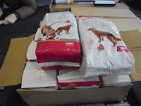 Honden - afbeelding 1 van  2