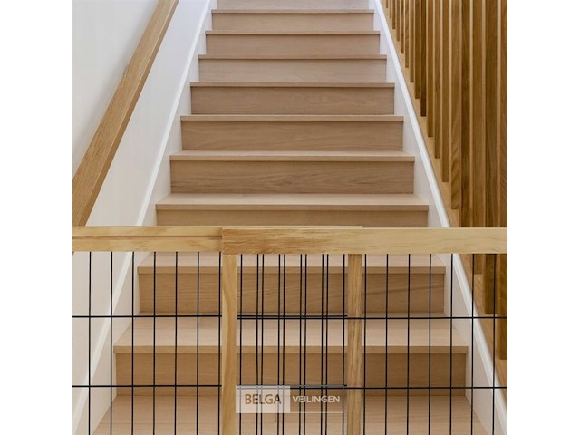 Hondenhekje - afbeelding 2 van  9