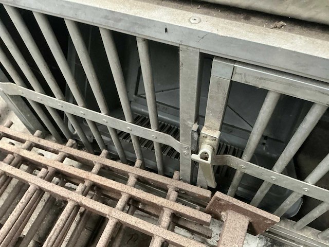 Hondenkooien (3x) - afbeelding 5 van  7