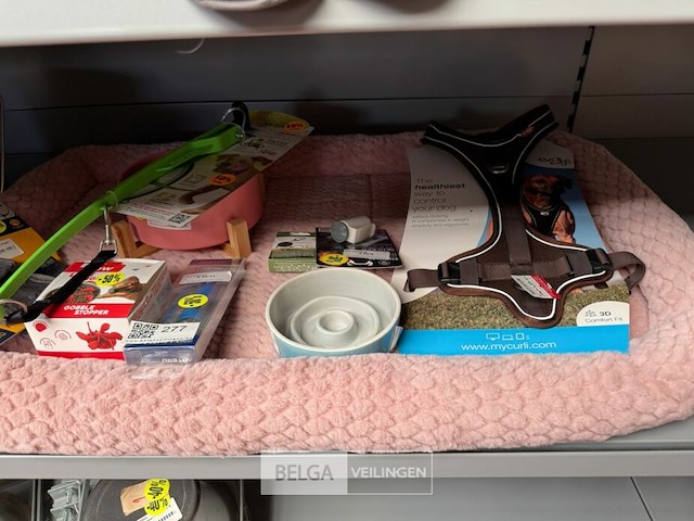 Hondenkussen gevuld met diverse accessoires - afbeelding 1 van  4