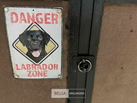 Hondenremork - afbeelding 11 van  19