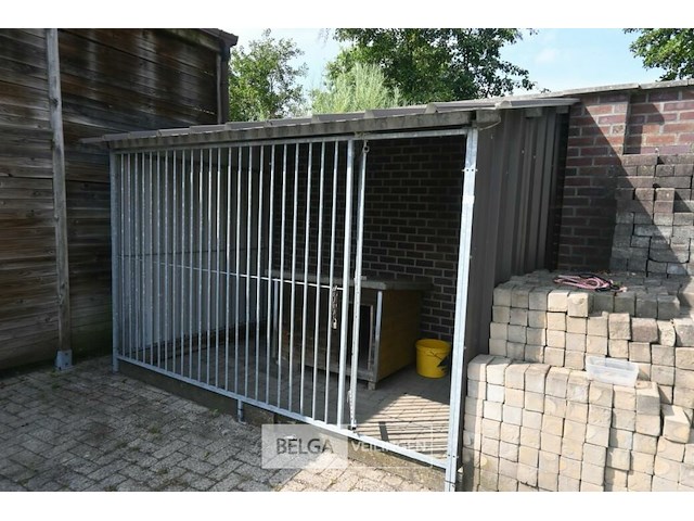 Hondenren - afbeelding 1 van  5