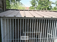 Hondenren - afbeelding 3 van  5