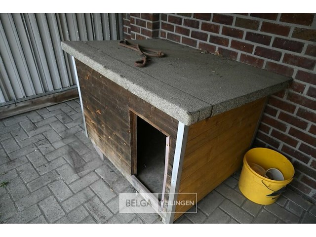 Hondenren - afbeelding 4 van  5