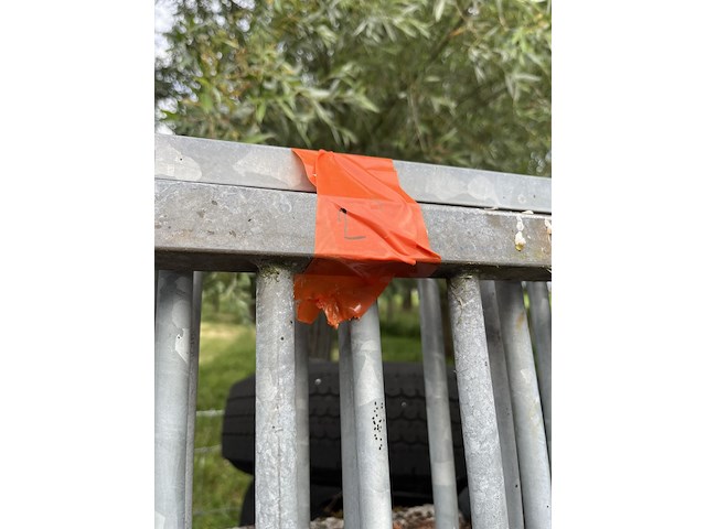Hondentralies - afbeelding 2 van  4