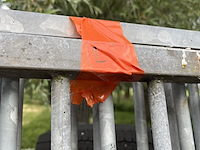 Hondentralies - afbeelding 2 van  4