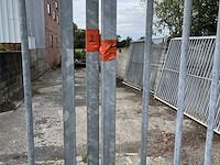 Hondentralies - afbeelding 3 van  4