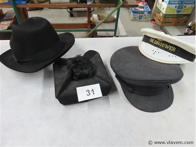 Hoofddeksels 4 stuks - afbeelding 1 van  3