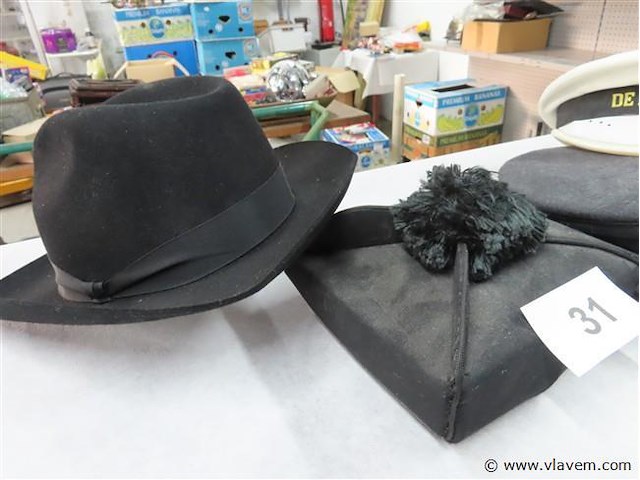 Hoofddeksels 4 stuks - afbeelding 3 van  3