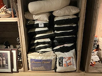 Hoofdkussen (10x) - afbeelding 1 van  13