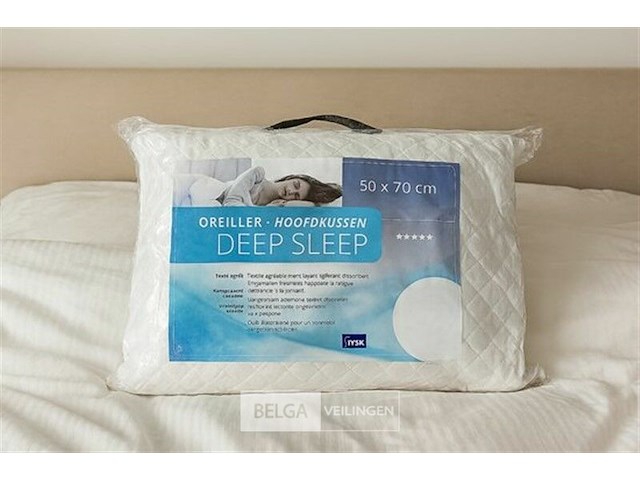 Hoofdkussen - afbeelding 1 van  1