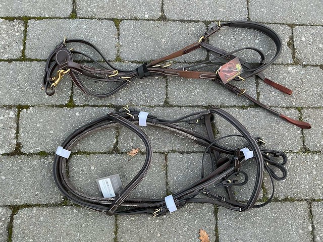 Hoofdstel + martingaal paarden - afbeelding 1 van  4