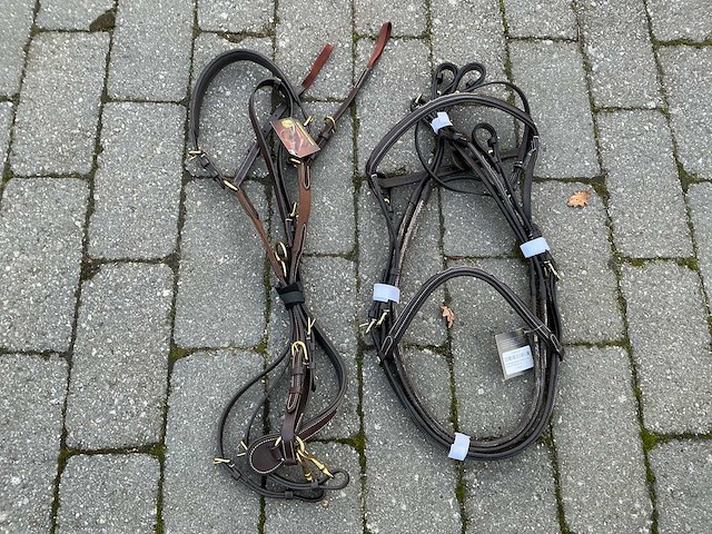 Hoofdstel + martingaal paarden - afbeelding 2 van  4