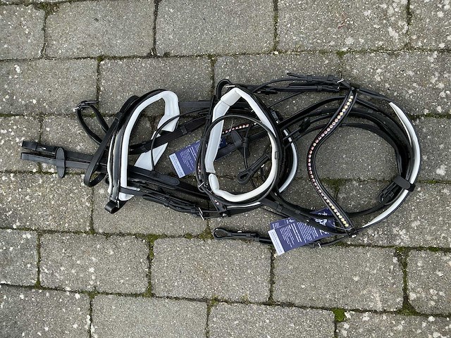 Hoofdstel paarden (2x) - afbeelding 1 van  4