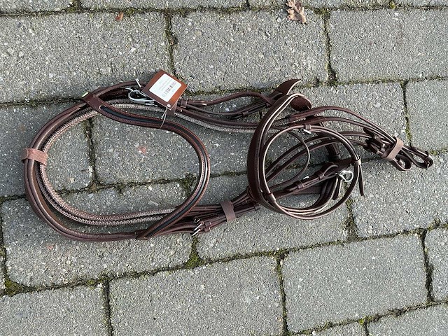 Hoofdstel paarden - afbeelding 1 van  4