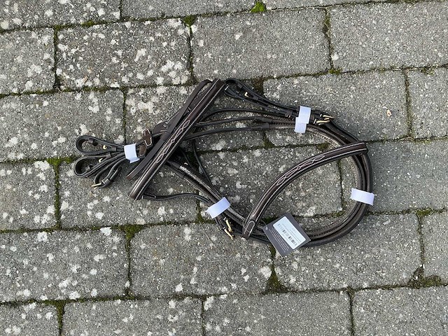 Hoofdstel paarden - afbeelding 1 van  4