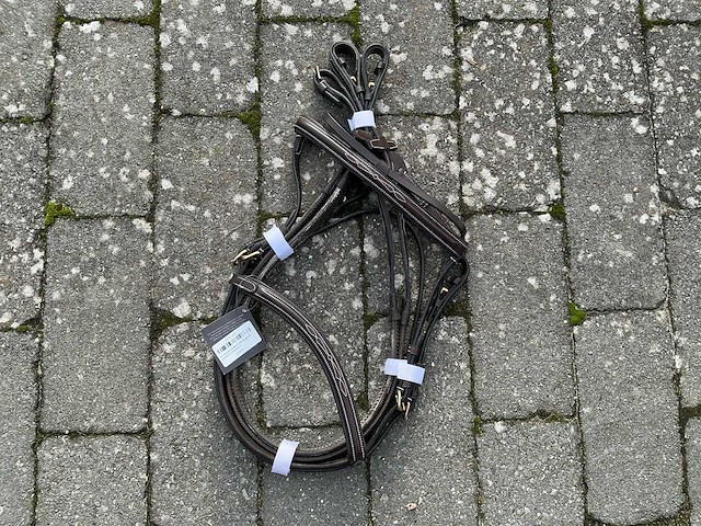 Hoofdstel paarden - afbeelding 2 van  4