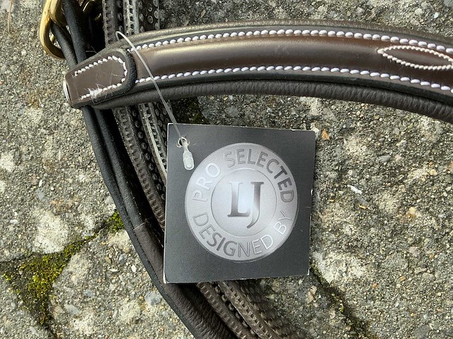 Hoofdstel paarden - afbeelding 4 van  4