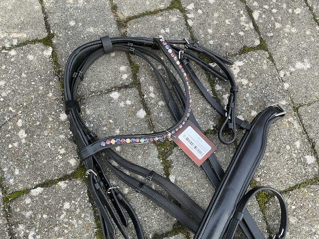 Hoofdstel paarden - afbeelding 2 van  5