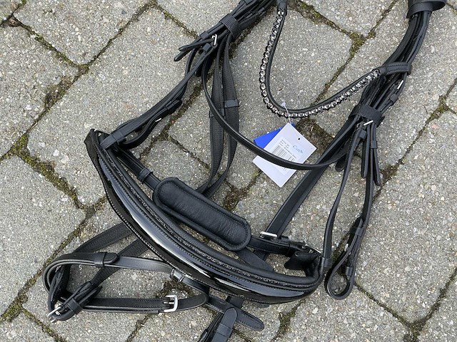 Hoofdstel paarden - afbeelding 2 van  4