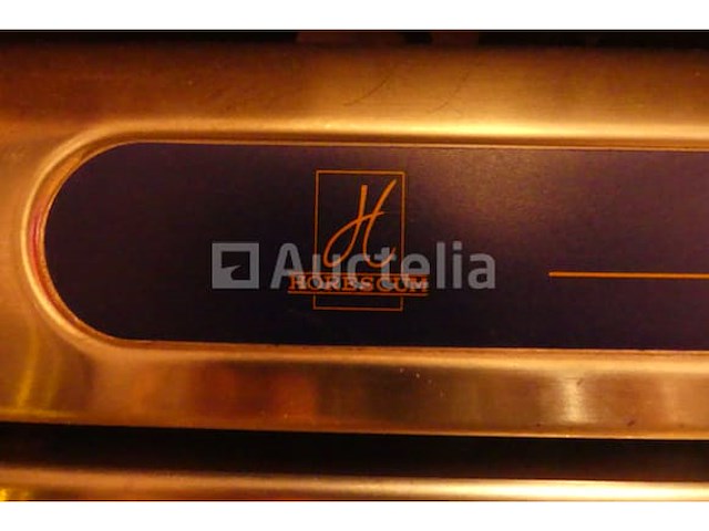 Horescum roestvrijstalen glaswasmachines - afbeelding 3 van  6