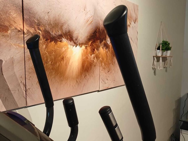 Horizon andes 2.0 crosstrainer - afbeelding 12 van  16