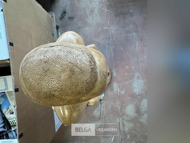 Houten beeldwerk - afbeelding 5 van  8