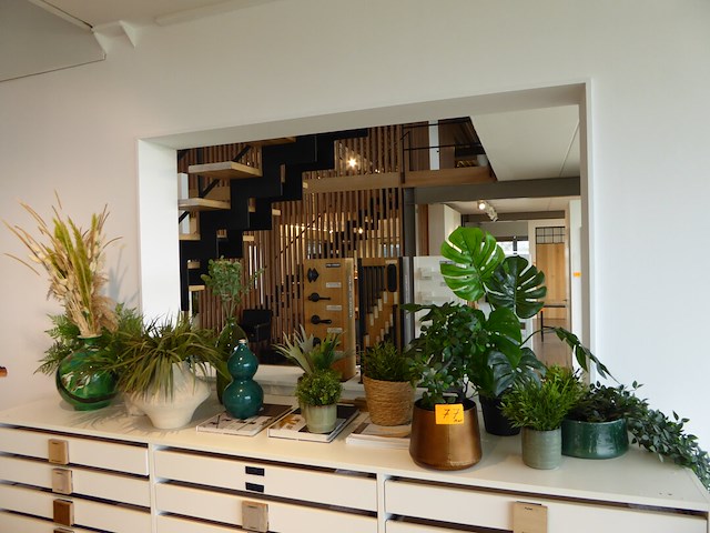 Houten binnendeur - afbeelding 1 van  1