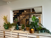 Houten binnendeur - afbeelding 1 van  1