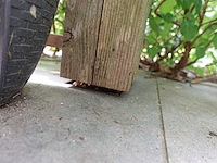 Houten constructie - afbeelding 5 van  5