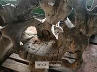 Houten kunstwerk / stoel - afbeelding 5 van  5