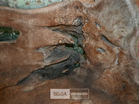 Houten kunstwerk / zitbank - afbeelding 5 van  5