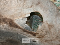 Houten kunstwerk / zitbank - afbeelding 5 van  5