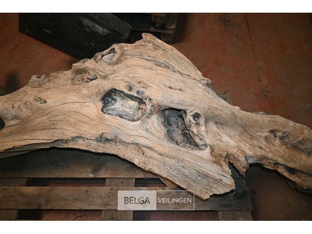 Houten kunstwerk - afbeelding 4 van  5