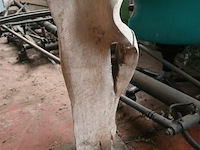 Houten kunstwerk - afbeelding 4 van  4