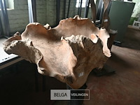 Houten kunstwerk - afbeelding 2 van  4