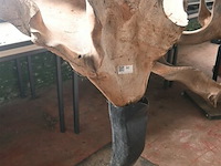 Houten kunstwerk - afbeelding 3 van  4