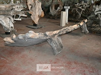 Houten kunstwerk - afbeelding 3 van  4