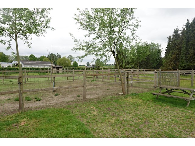 Houten paardenomheining - afbeelding 8 van  13