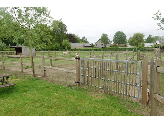 Houten paardenomheining - afbeelding 9 van  13