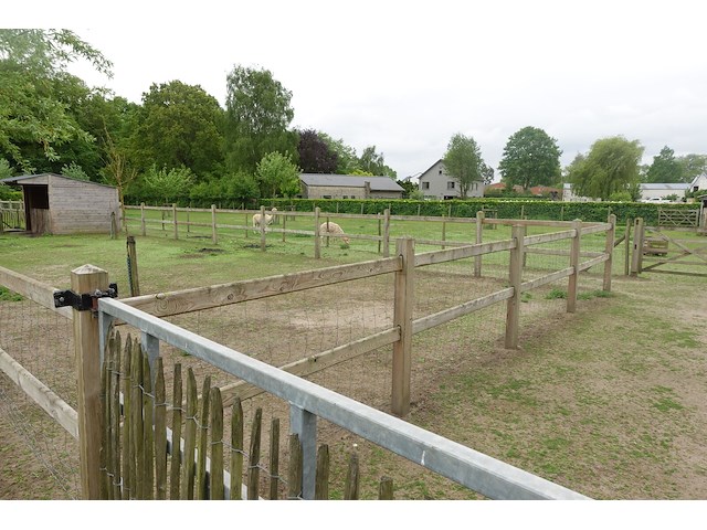 Houten paardenomheining - afbeelding 12 van  13