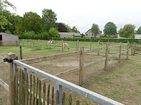 Houten paardenomheining - afbeelding 12 van  13