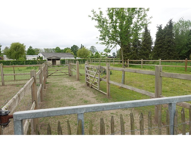 Houten paardenomheining - afbeelding 13 van  13