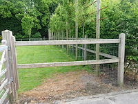 Houten paardenomheining - afbeelding 3 van  10