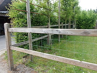 Houten paardenomheining - afbeelding 4 van  10