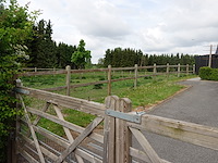 Houten paardenomheining - afbeelding 6 van  10
