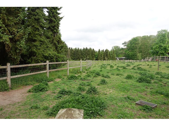 Houten paardenomheining - afbeelding 7 van  10