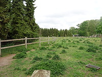 Houten paardenomheining - afbeelding 7 van  10