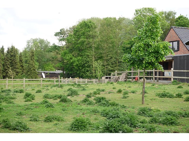 Houten paardenomheining - afbeelding 8 van  10
