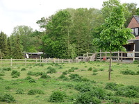 Houten paardenomheining - afbeelding 8 van  10